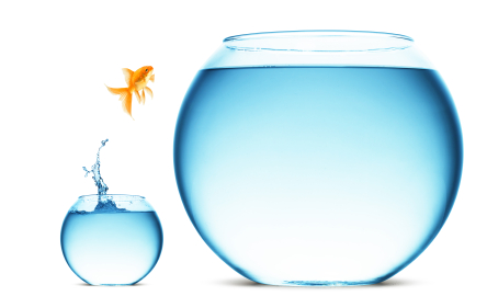 alt text of image of a goldfish jumping from a small bowl to large bowl