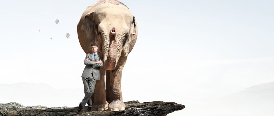 alt text image of man and an elephant as a metaphor for Leaders, Reclaim Your Time When You Stop Doing These 4 Things