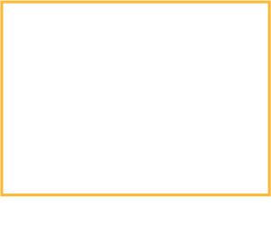 LG-intensive-logo