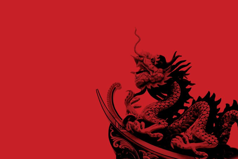 The Care and Feeding of Your Pet Dragon