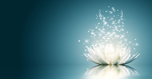 The Difference Between Dreams and Daydreams