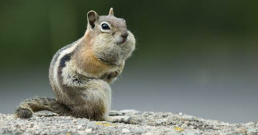 Before You Take Another Bite