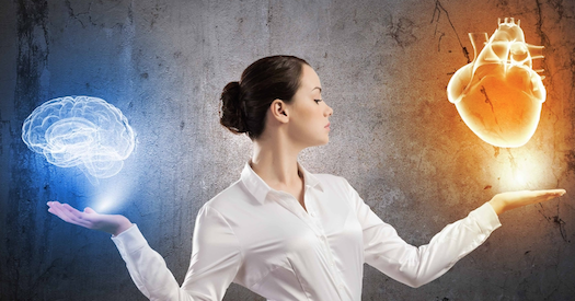 The ROI of Softer Stuff