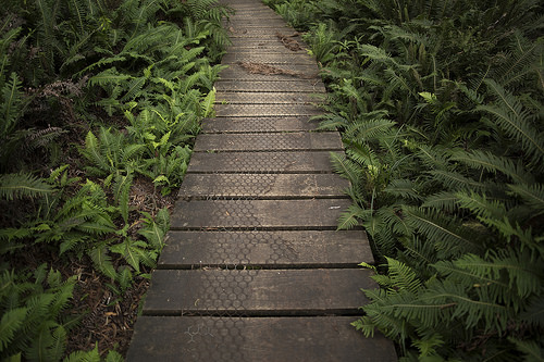 Your Goals and Your Effort