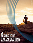 Seizing Your Sales Destiny eBook