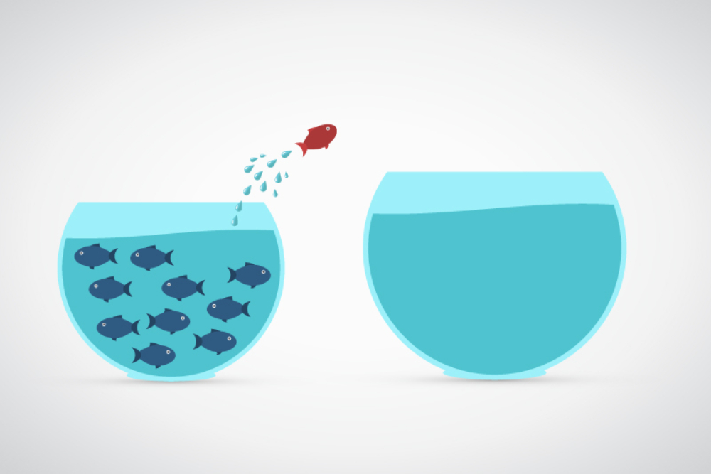 Because Your Client Needs to Change, You Need to Change