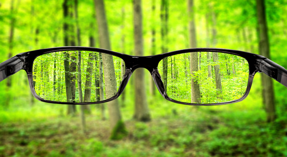 Your Client’s Value Lens