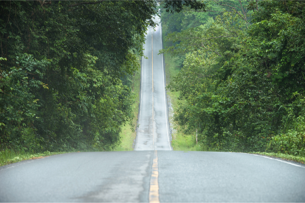 How to Leverage the Power of Perseverance