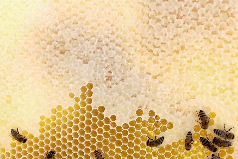 Success And The Breakthrough Power Of Consistency