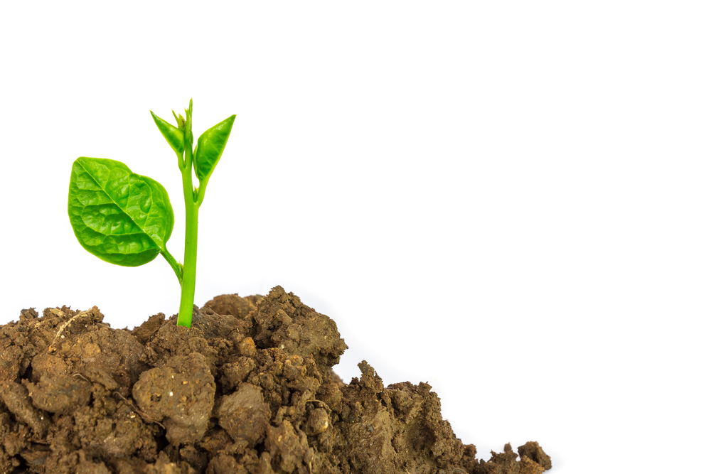 The Case for Creating Value Before Claiming Value