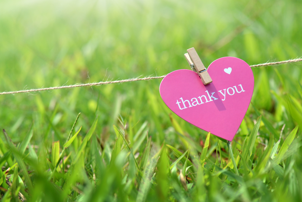 My Gratitude on Thanksgiving Day 2019