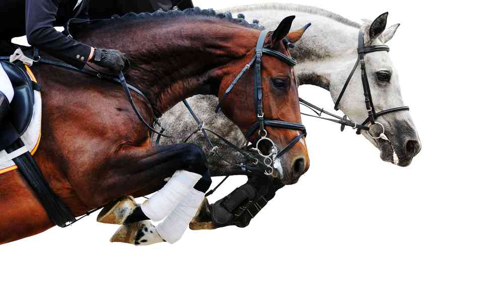 The Two Ways You Lose Deals Now