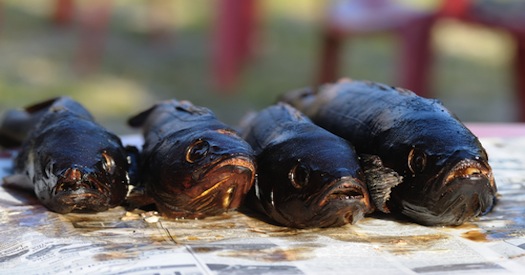 A Fish Rots From The Head Down A Note To The Sales Leader