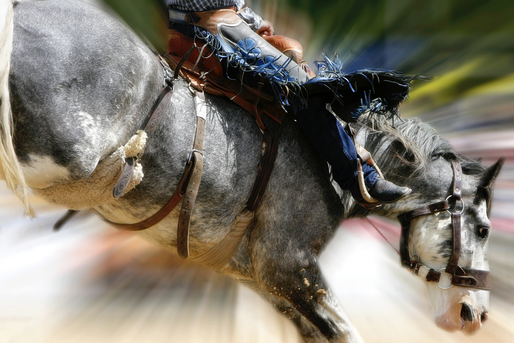Get Back On the Horse That Threw You