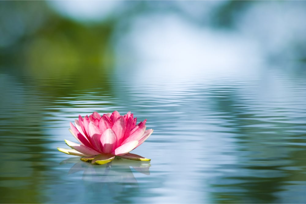 The Power in Clarity of Purpose