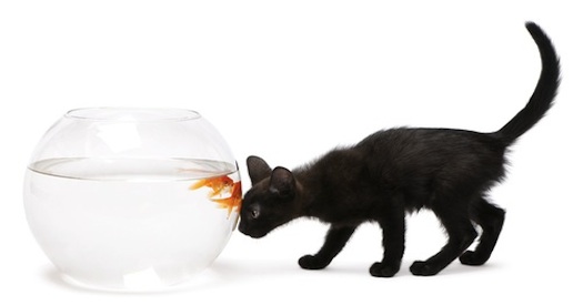 Where Are You Vulnerable?