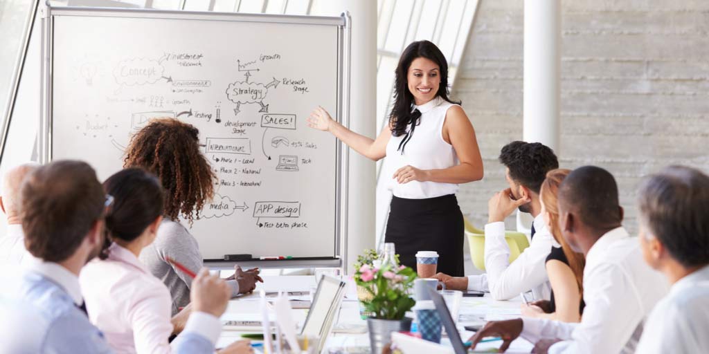 Sales Strategy Presentation