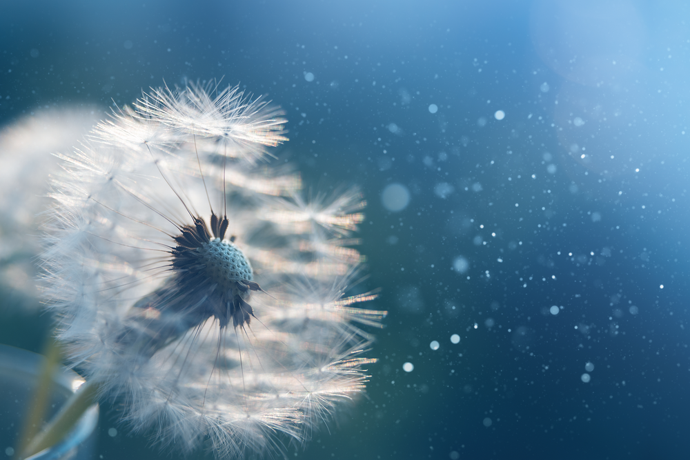 How to Improve Your Sales Cycle